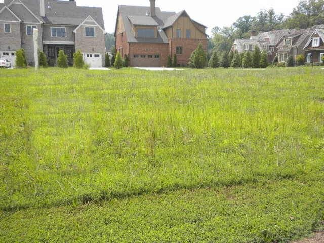 4226 Central River Park, Duluth, GA 30096 photo 1