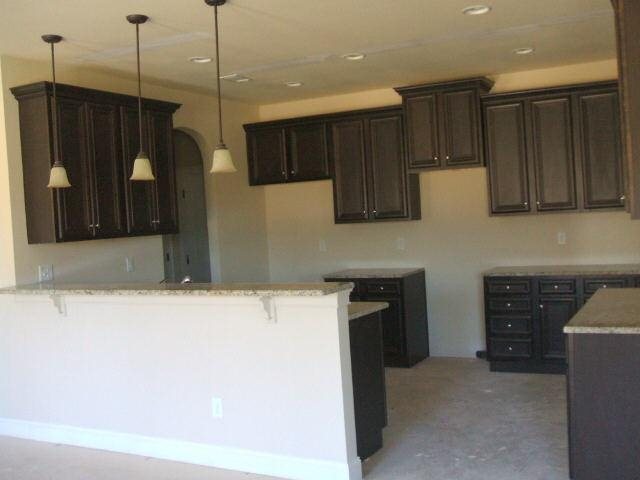 204 Manresa Ct, Hampton, GA 30228 photo 4