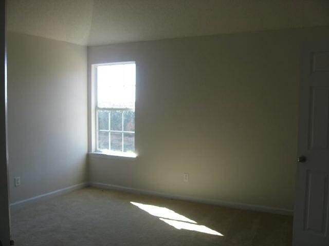 313 Othello Dr, Hampton, GA 30228 photo 9