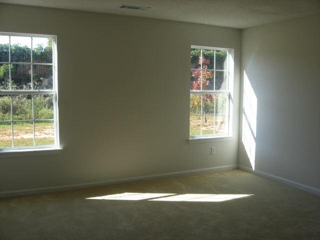 313 Othello Dr, Hampton, GA 30228 photo 2