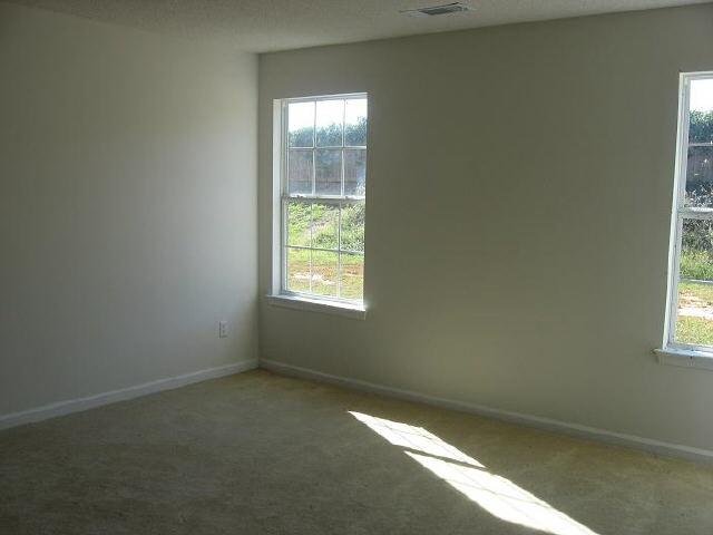 313 Othello Dr, Hampton, GA 30228 photo 6