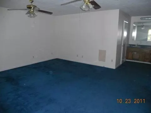 48 1st Ave N, Ranburne, AL 36273 photo 5