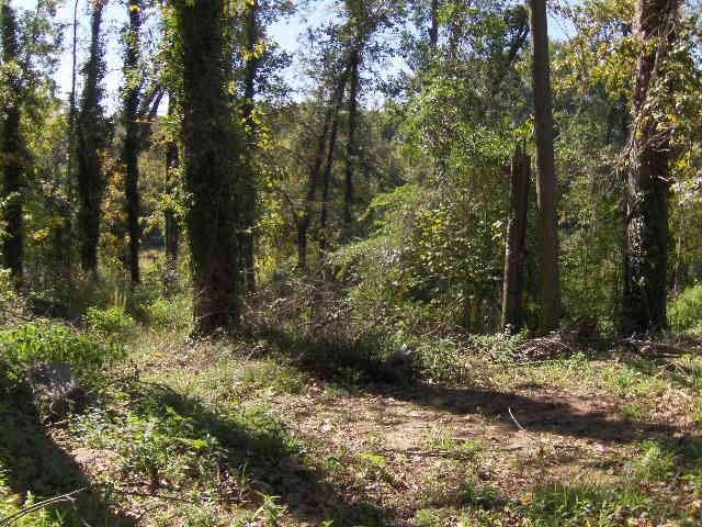1901 Dirk Dr, Macon, GA 31211 photo 1