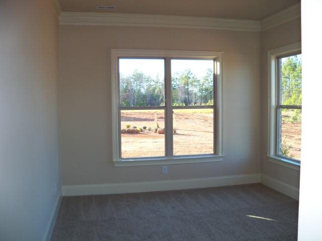 4653 Cloister Cir, Hampton, GA 30228 photo 16