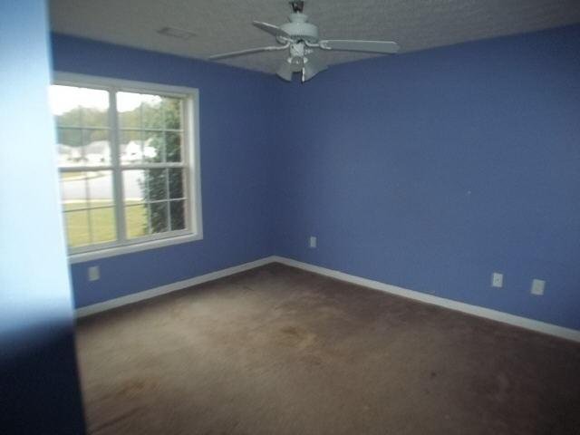 11489 Vinea Ln, Hampton, GA 30228 photo 10