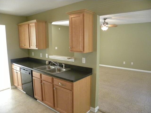 1037 Bluecoat Cir, Hampton, GA 30228 photo 9