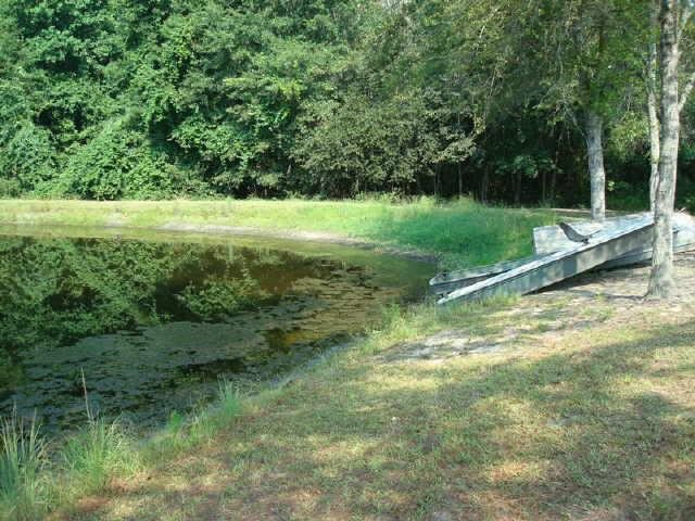 216 Pine Ln, Claxton, GA 30417 photo 7