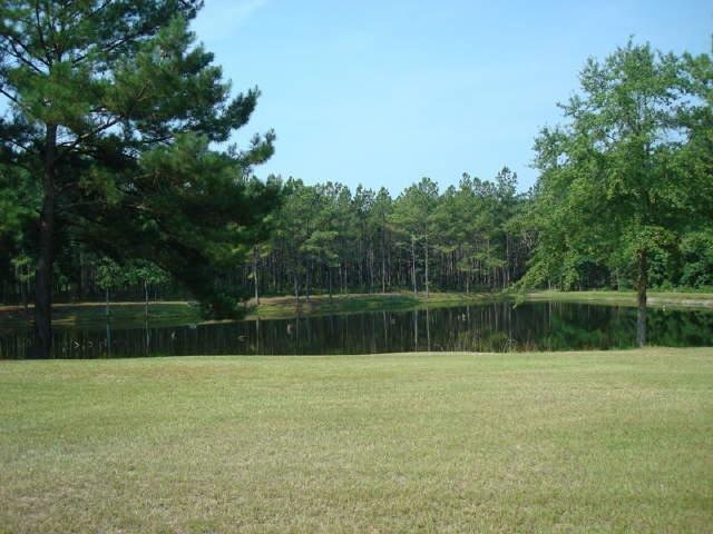 216 Pine Ln, Claxton, GA 30417 photo 1
