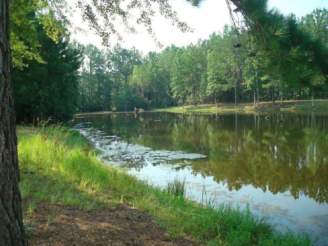216 Pine Ln, Claxton, GA 30417 photo 6
