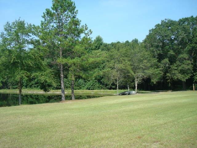 216 Pine Ln, Claxton, GA 30417 photo 5