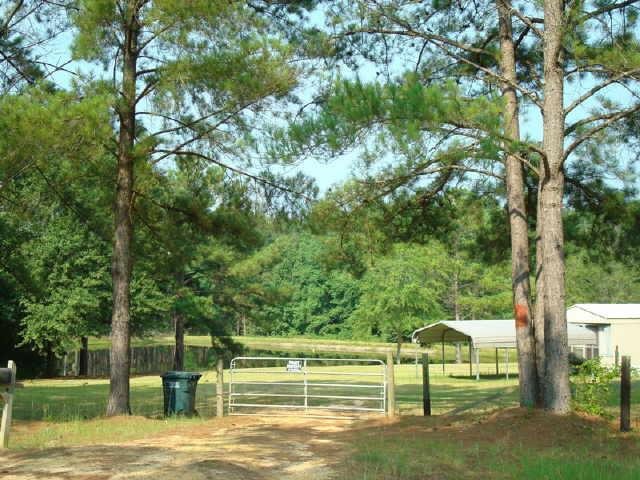 216 Pine Ln, Claxton, GA 30417 photo 10