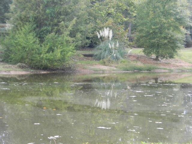 817 Old Post Rd, Madison, GA 30650 photo 14