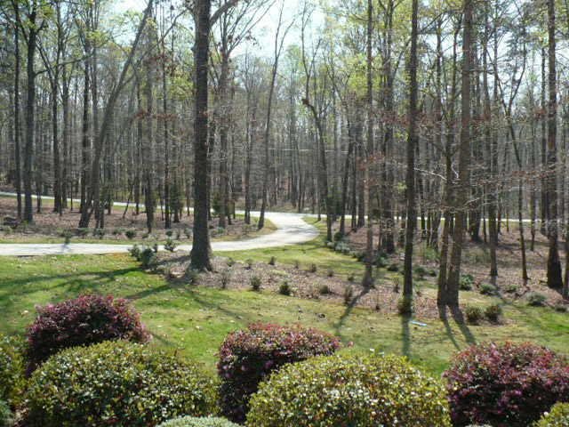 9110 Patricks Pl, Winston, GA 30187 photo 4