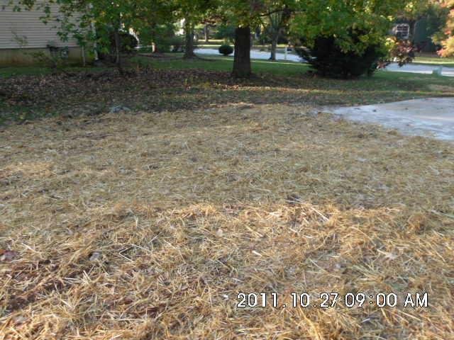4185 River Shoals Ct, Duluth, GA 30097 photo 9