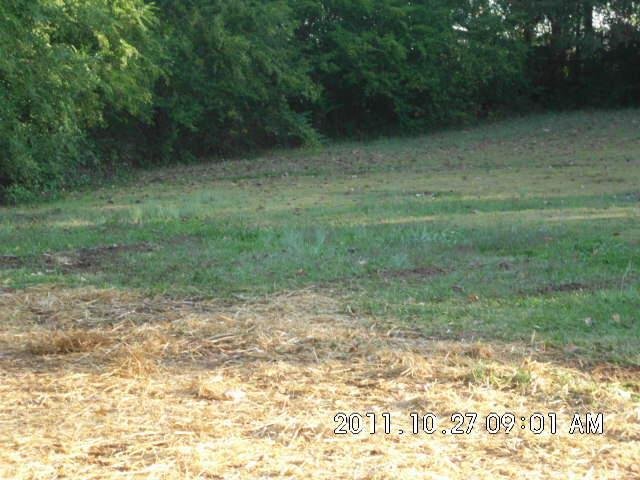 4185 River Shoals Ct, Duluth, GA 30097 photo 11