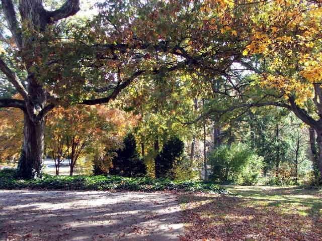 273 E Broad St, Winder, GA 30680 photo 13