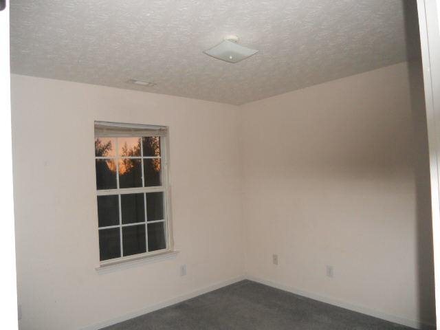 505 Lifford Ct, Hampton, GA 30228 photo 6