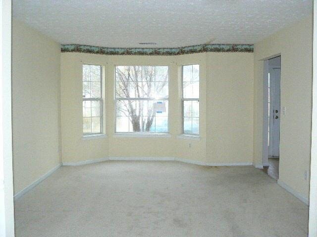1360 Pebble Ridge Ln, Hampton, GA 30228 photo 12