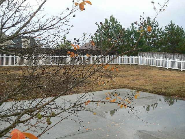 1360 Pebble Ridge Ln, Hampton, GA 30228 photo 2