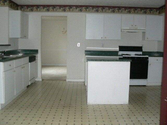 1360 Pebble Ridge Ln, Hampton, GA 30228 photo 5