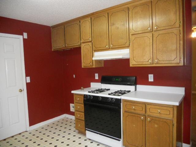 2597 Rosecommons Dr, Hampton, GA 30228 photo 3