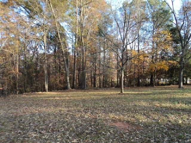 1020 Bethany Rd, Covington, GA 30016 photo 14