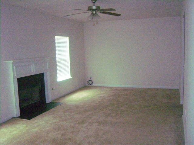 1148 Oak Hollow Ct, Hampton, GA 30228 photo 4