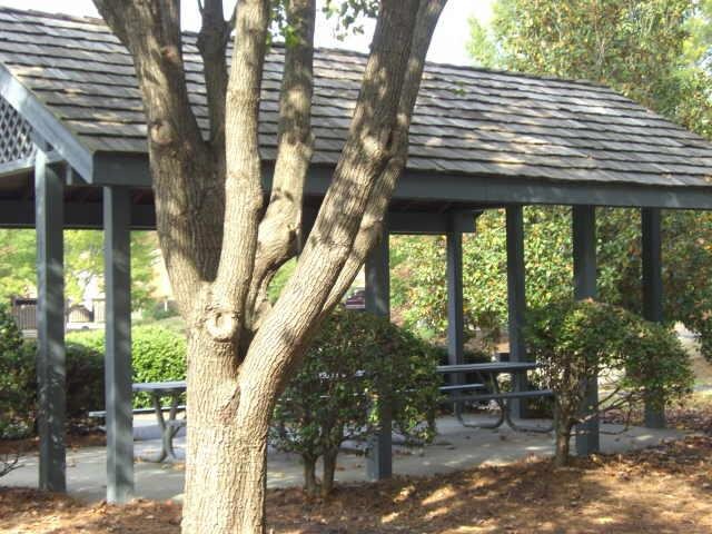 4140 Crape Myrtle Ln, Duluth, GA 30096 photo 14