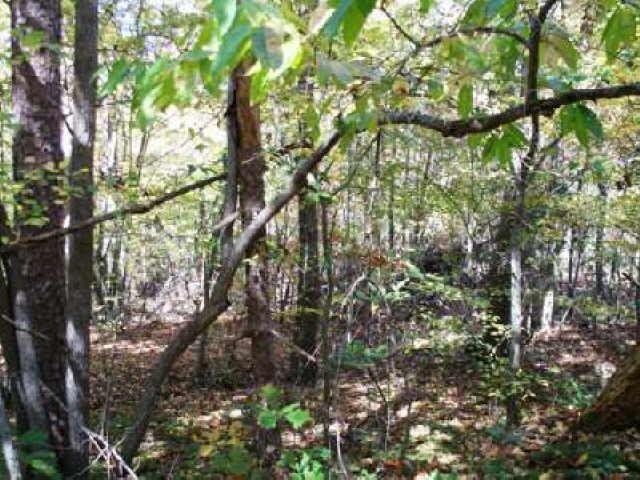 4149 Mud Creek Rd, Cornelia, GA 30531 photo 4