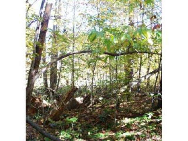 4149 Mud Creek Rd, Cornelia, GA 30531 photo 7