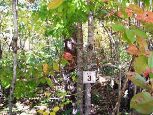 4149 Mud Creek Rd, Cornelia, GA 30531 photo 3