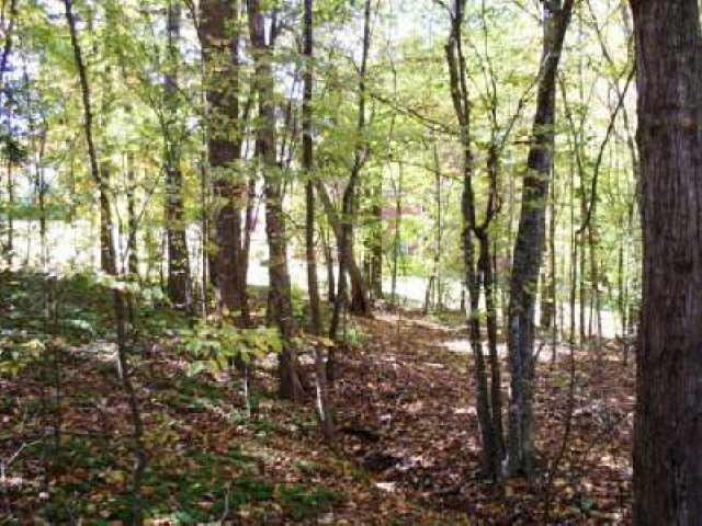 4149 Mud Creek Rd, Cornelia, GA 30531 photo 1