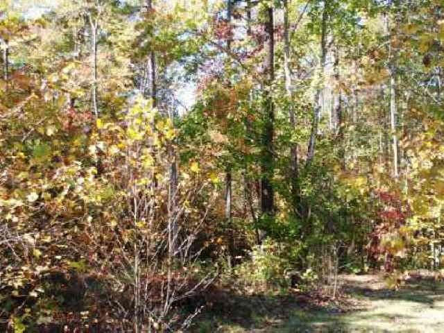 4149 Mud Creek Rd, Cornelia, GA 30531 photo 8