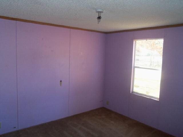 125 White Birch Dr, Covington, GA 30016 photo 10