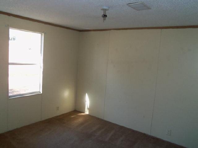 125 White Birch Dr, Covington, GA 30016 photo 9