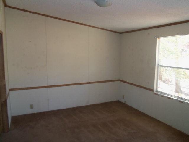 125 White Birch Dr, Covington, GA 30016 photo 7