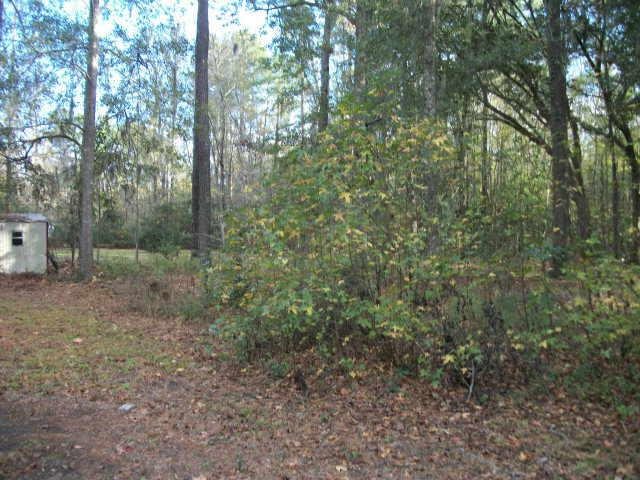 45 Otto Dr, Midway, GA 31320 photo 4