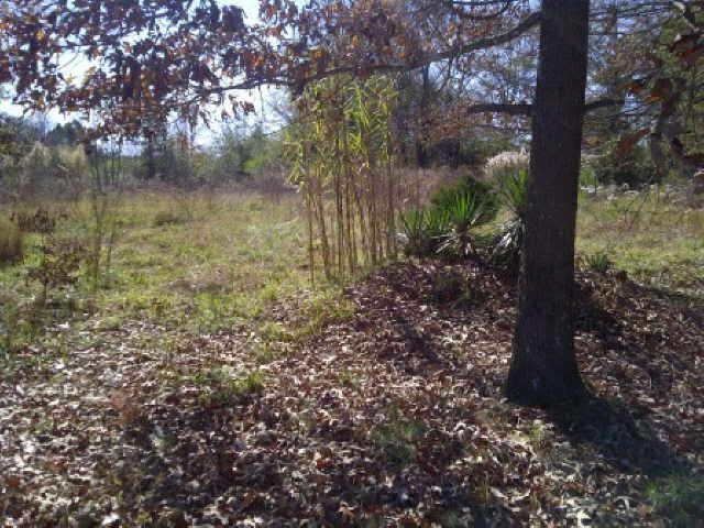 925 Allen Rd, Commerce, GA 30530 photo 8
