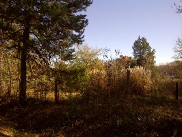 925 Allen Rd, Commerce, GA 30530 photo 2