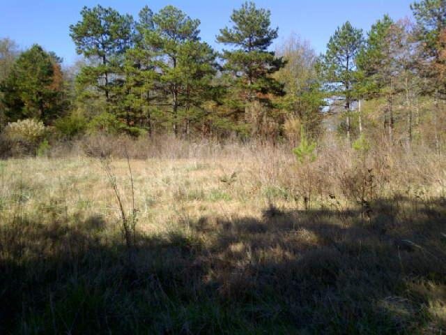 925 Allen Rd, Commerce, GA 30530 photo 5