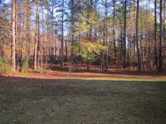 39 Malcom Rd, Covington, GA 30014 photo 10