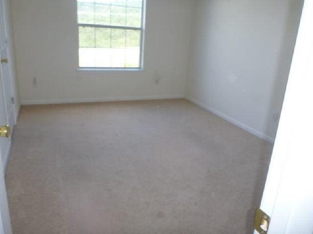 11103 Panhandle Rd, Hampton, GA 30228 photo 10