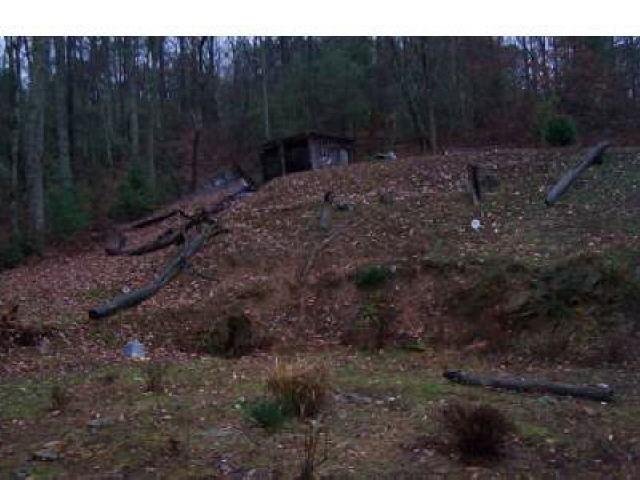 1485 Bear Gap Rd, Clarkesville, GA 30523 photo 11