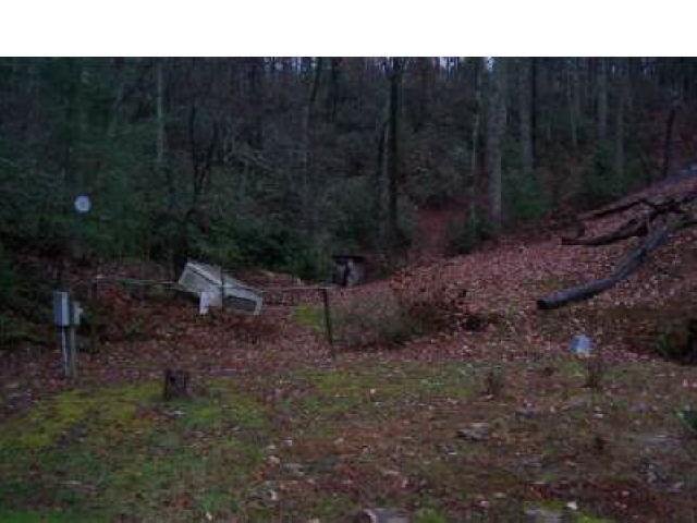 1485 Bear Gap Rd, Clarkesville, GA 30523 photo 9