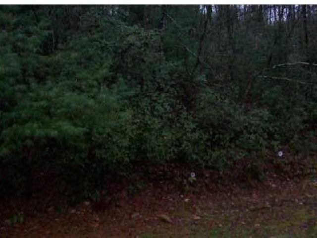 1485 Bear Gap Rd, Clarkesville, GA 30523 photo 10