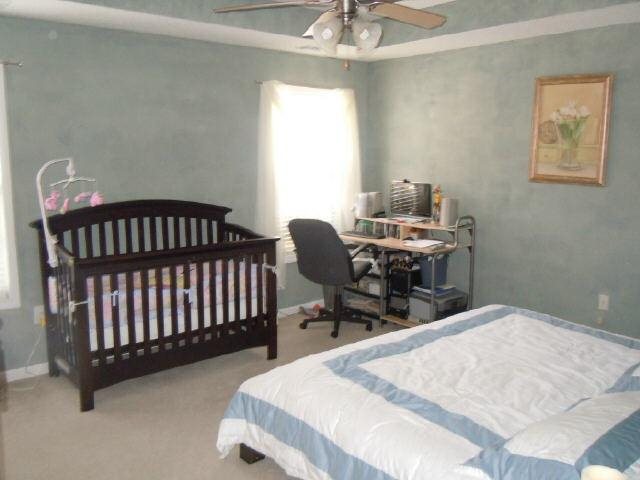 153 Ridgeway Rd, Milner, GA 30257 photo 9