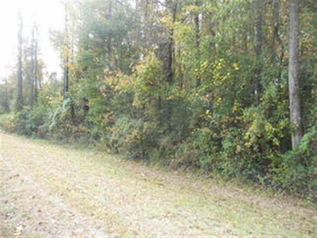 181 Terrell Rd, Elko, GA 31025 photo 3