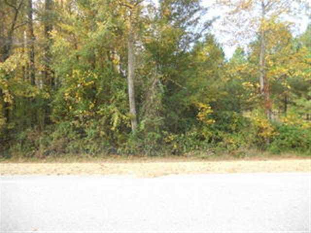 181 Terrell Rd, Elko, GA 31025 photo 1