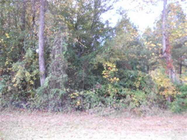 181 Terrell Rd, Elko, GA 31025 photo 2