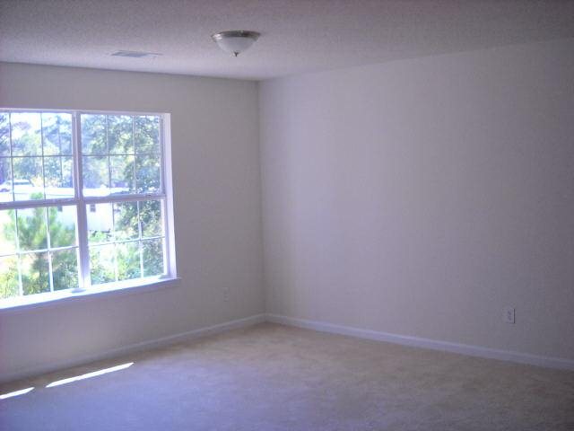 11956 Markham Way, Hampton, GA 30228 photo 9